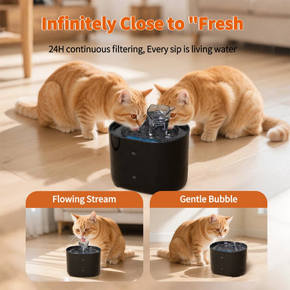 Pet Water Fountain